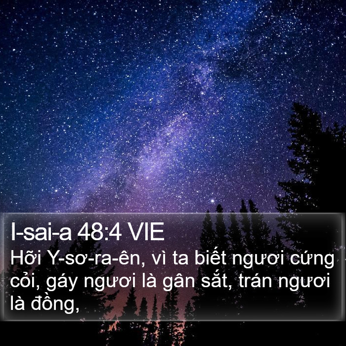 I-sai-a 48:4 VIE Bible Study