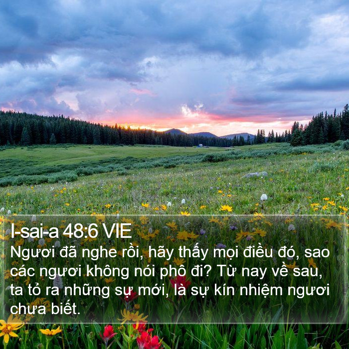 I-sai-a 48:6 VIE Bible Study