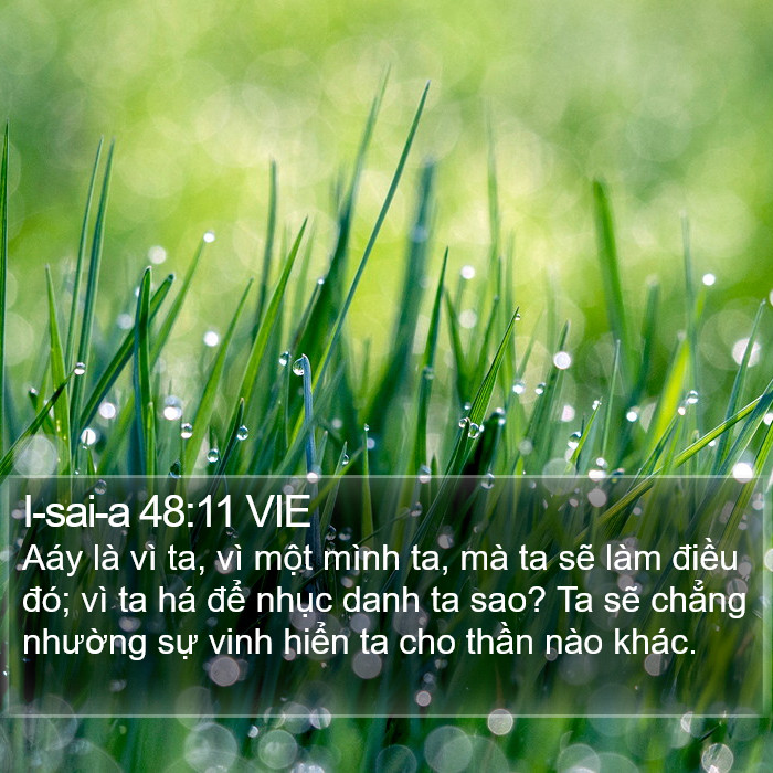 I-sai-a 48:11 VIE Bible Study
