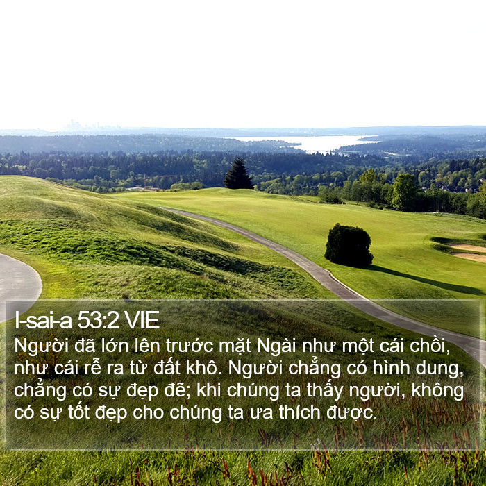 I-sai-a 53:2 VIE Bible Study