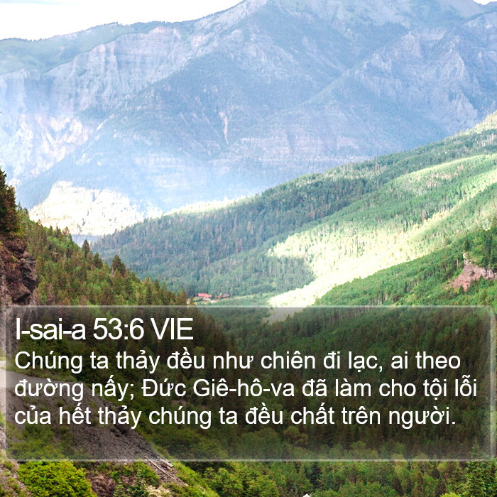 I-sai-a 53:6 VIE Bible Study