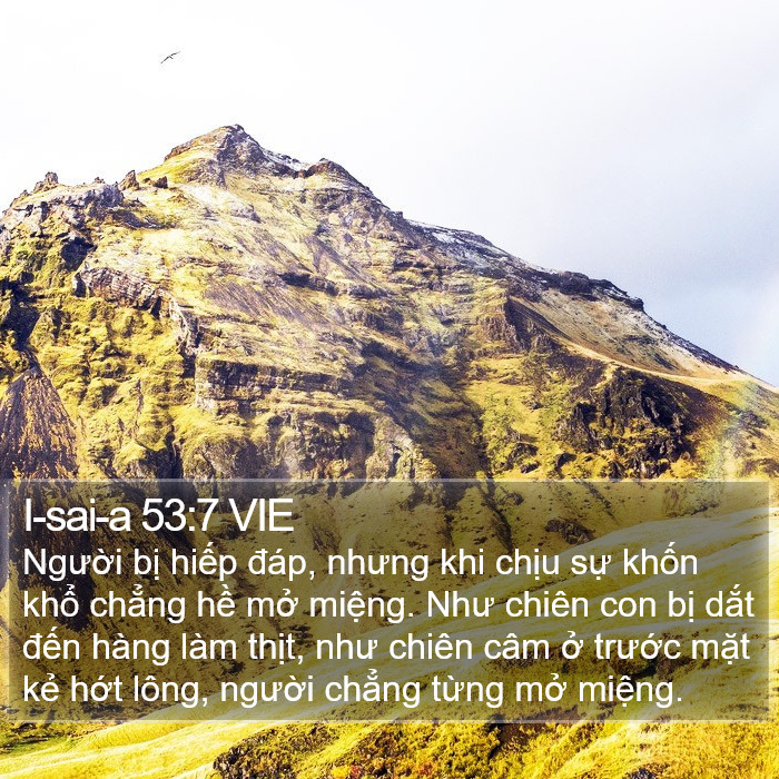 I-sai-a 53:7 VIE Bible Study