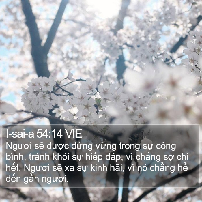 I-sai-a 54:14 VIE Bible Study