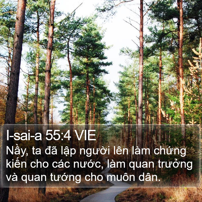 I-sai-a 55:4 VIE Bible Study