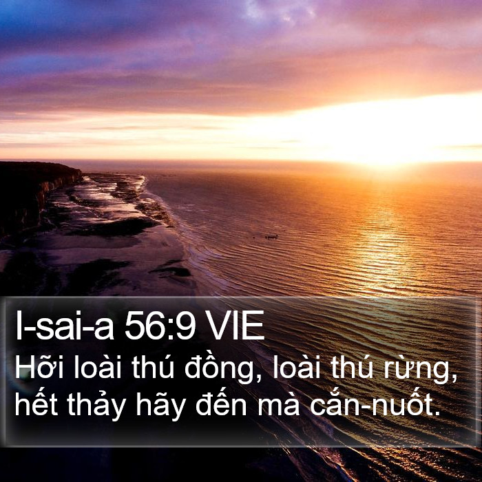 I-sai-a 56:9 VIE Bible Study