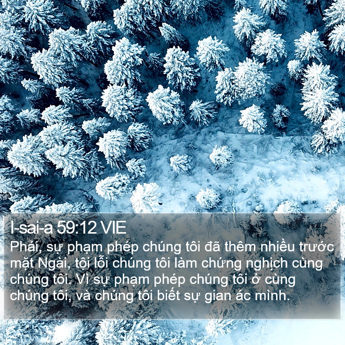 I-sai-a 59:12 VIE Bible Study