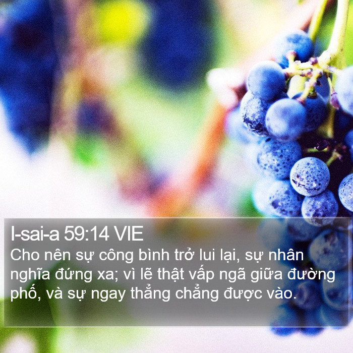 I-sai-a 59:14 VIE Bible Study