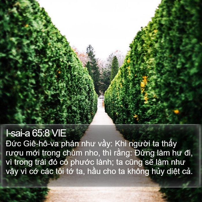 I-sai-a 65:8 VIE Bible Study