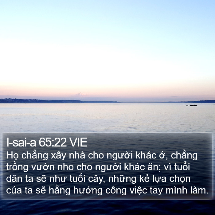 I-sai-a 65:22 VIE Bible Study