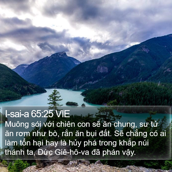 I-sai-a 65:25 VIE Bible Study