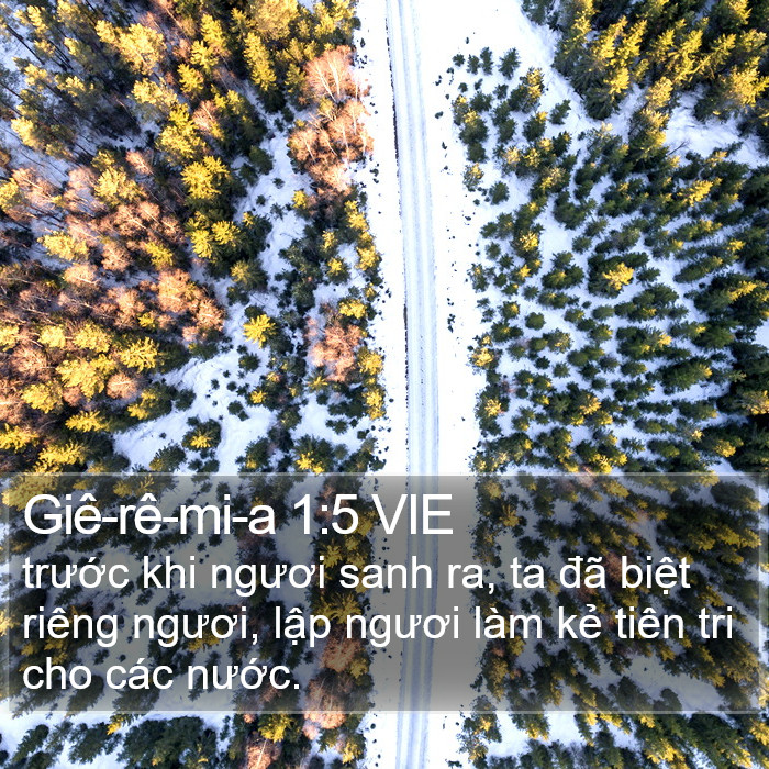 Giê-rê-mi-a 1:5 VIE Bible Study