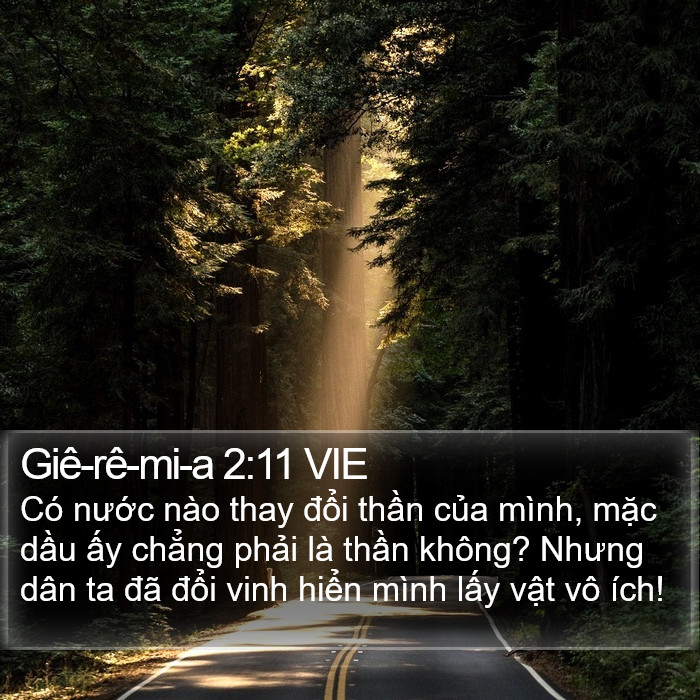 Giê-rê-mi-a 2:11 VIE Bible Study