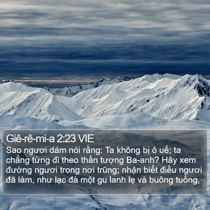 Giê-rê-mi-a 2:23 VIE Bible Study