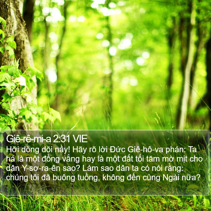 Giê-rê-mi-a 2:31 VIE Bible Study