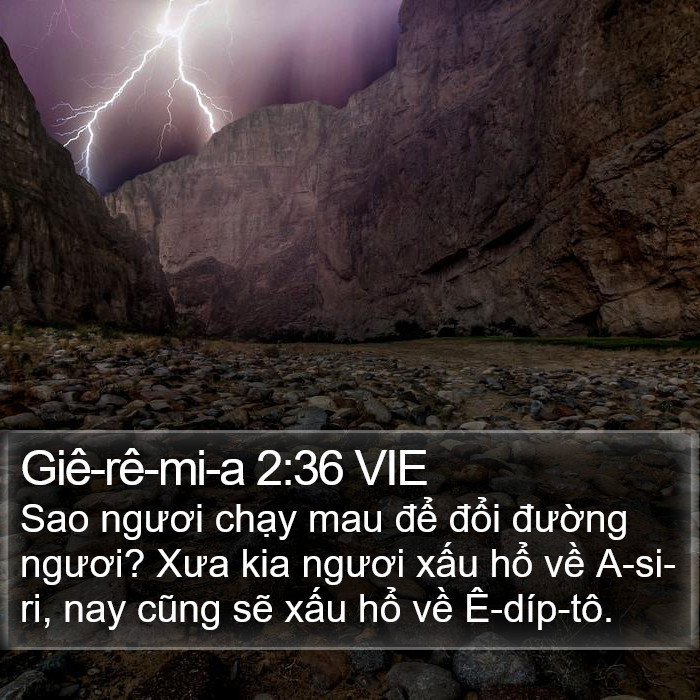 Giê-rê-mi-a 2:36 VIE Bible Study