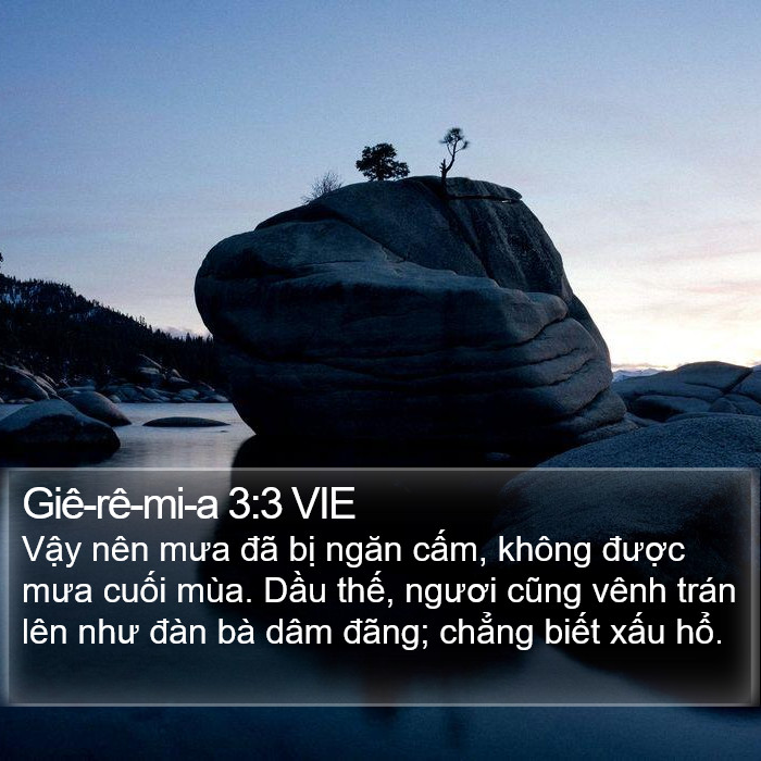 Giê-rê-mi-a 3:3 VIE Bible Study