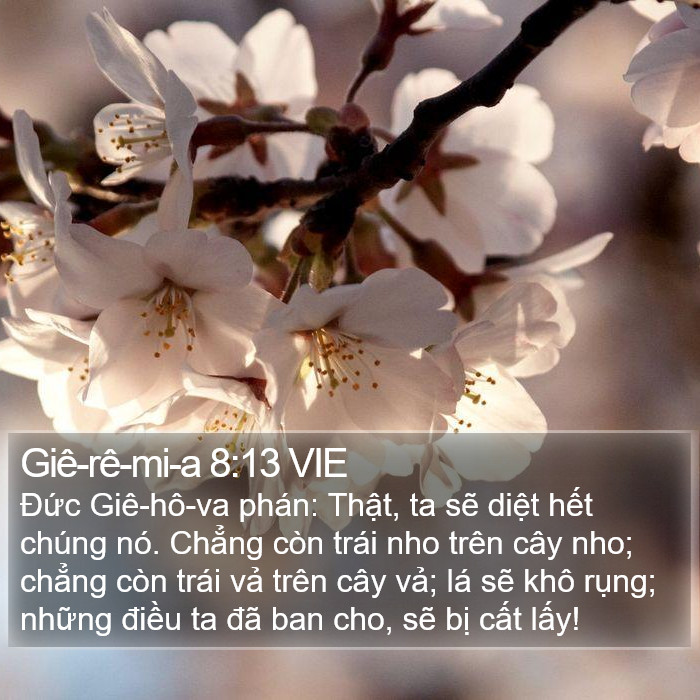 Giê-rê-mi-a 8:13 VIE Bible Study