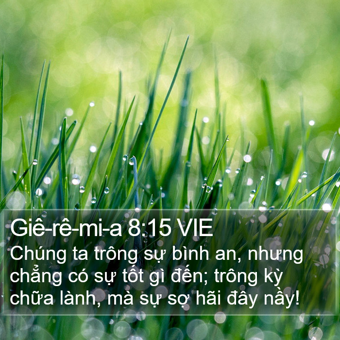 Giê-rê-mi-a 8:15 VIE Bible Study