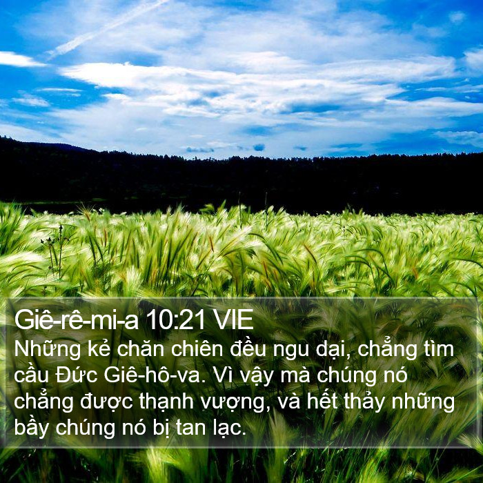 Giê-rê-mi-a 10:21 VIE Bible Study