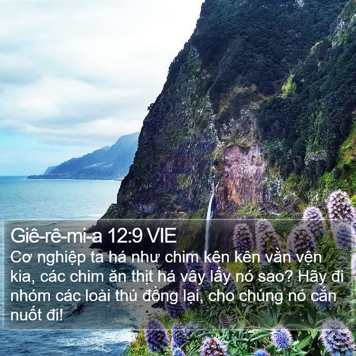 Giê-rê-mi-a 12:9 VIE Bible Study