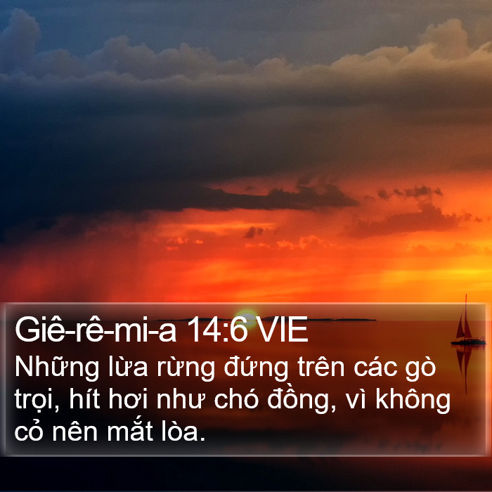 Giê-rê-mi-a 14:6 VIE Bible Study