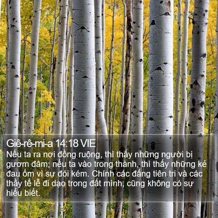 Giê-rê-mi-a 14:18 VIE Bible Study