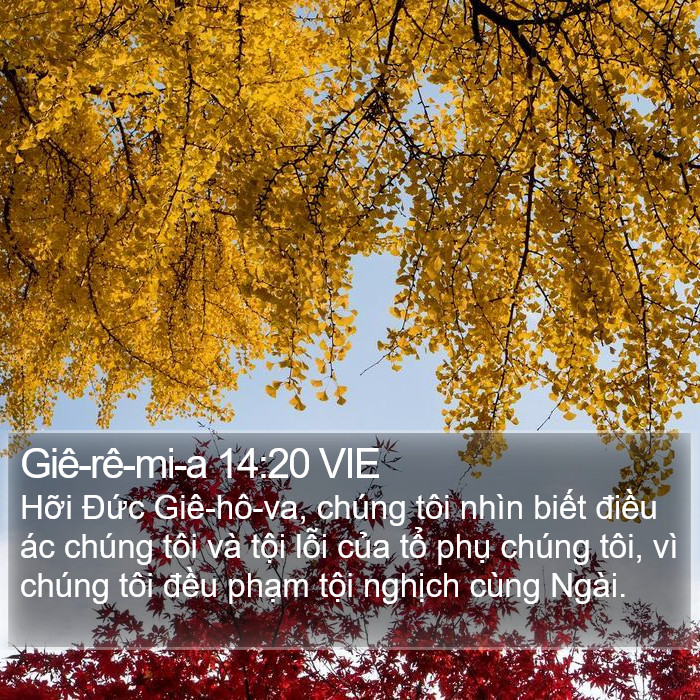 Giê-rê-mi-a 14:20 VIE Bible Study