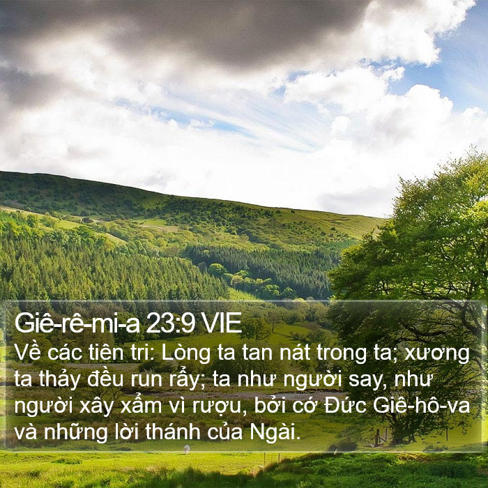 Giê-rê-mi-a 23:9 VIE Bible Study