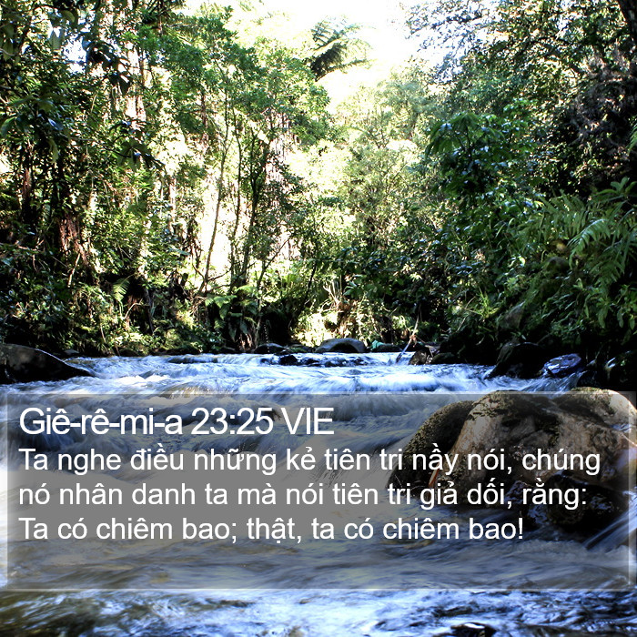 Giê-rê-mi-a 23:25 VIE Bible Study