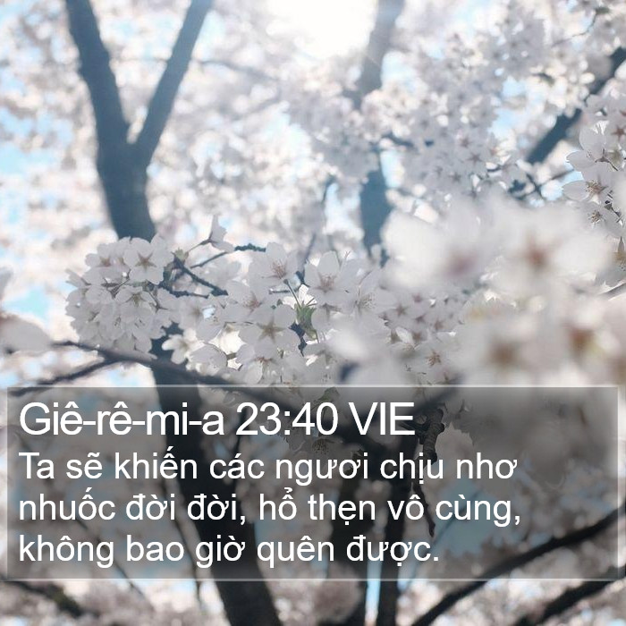 Giê-rê-mi-a 23:40 VIE Bible Study