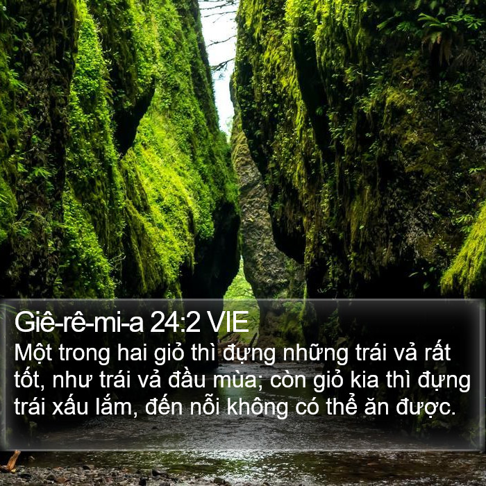 Giê-rê-mi-a 24:2 VIE Bible Study