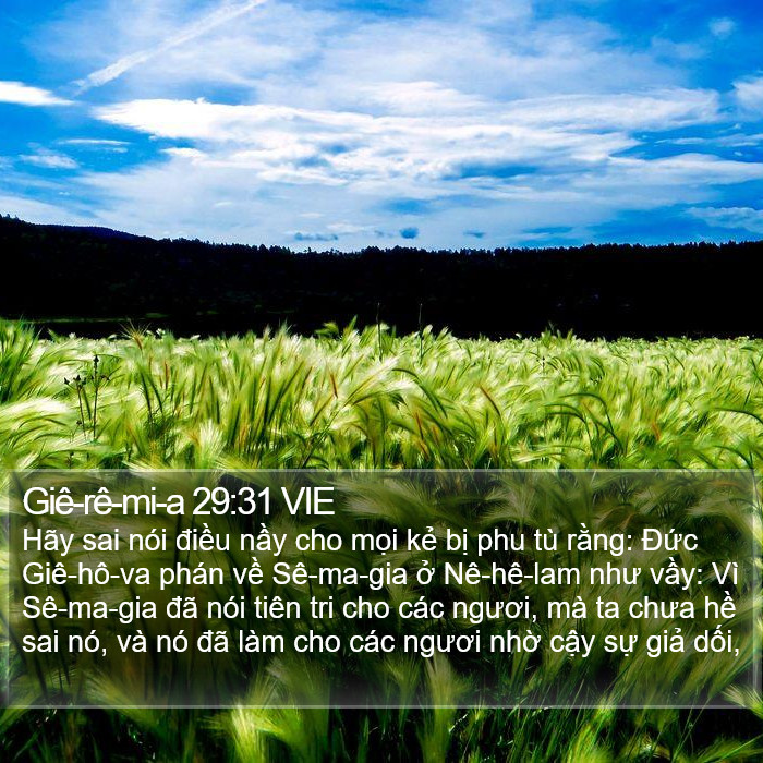 Giê-rê-mi-a 29:31 VIE Bible Study