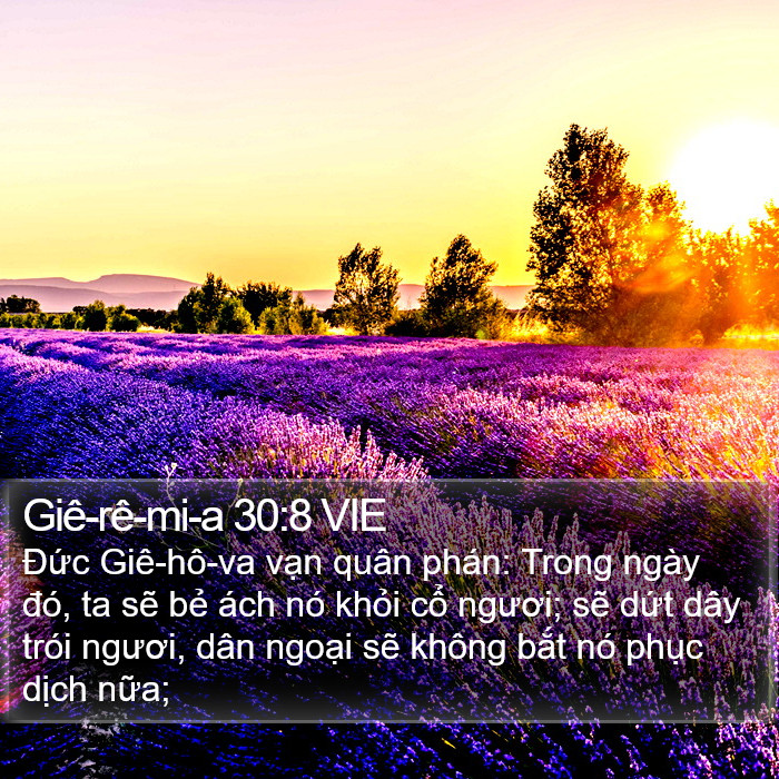 Giê-rê-mi-a 30:8 VIE Bible Study