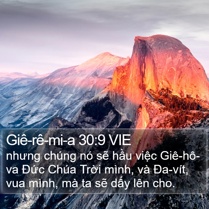 Giê-rê-mi-a 30:9 VIE Bible Study