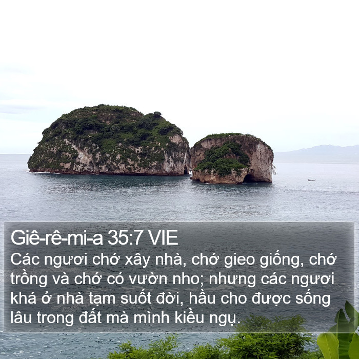 Giê-rê-mi-a 35:7 VIE Bible Study