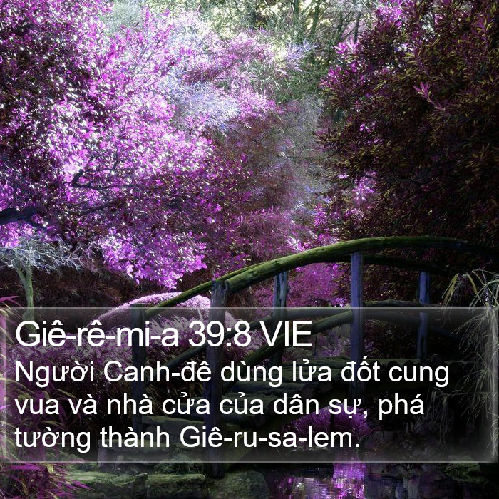 Giê-rê-mi-a 39:8 VIE Bible Study