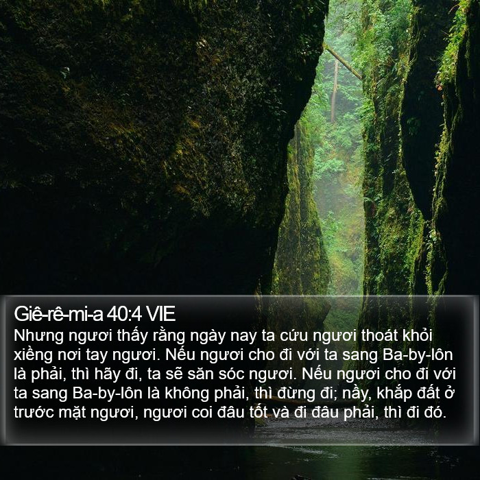 Giê-rê-mi-a 40:4 VIE Bible Study