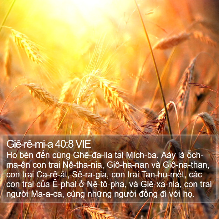 Giê-rê-mi-a 40:8 VIE Bible Study