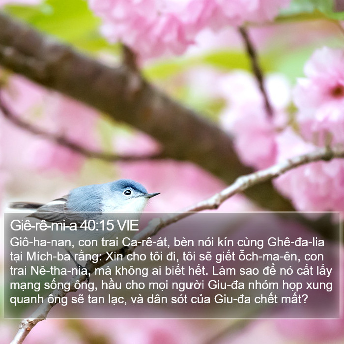 Giê-rê-mi-a 40:15 VIE Bible Study