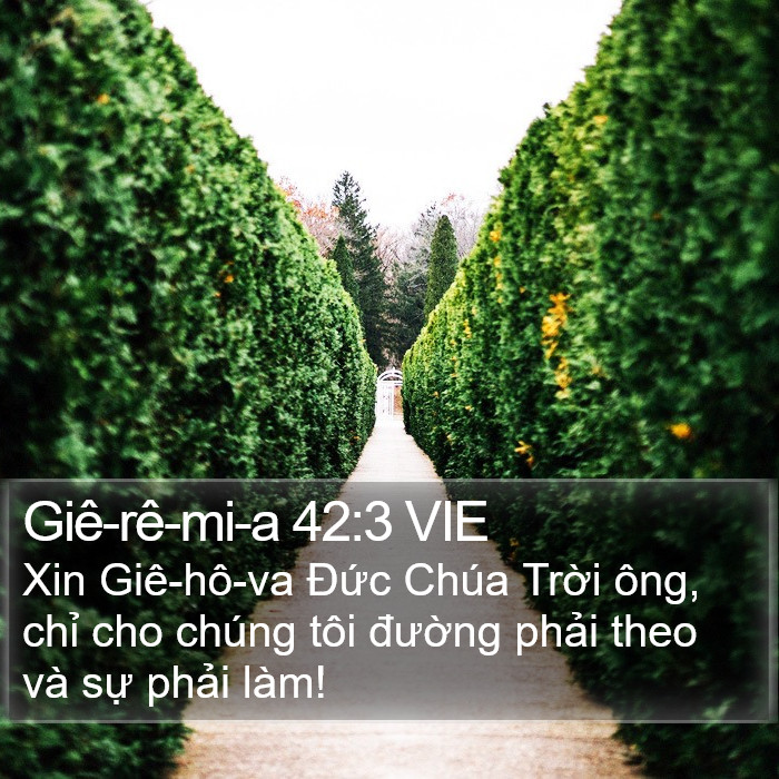 Giê-rê-mi-a 42:3 VIE Bible Study