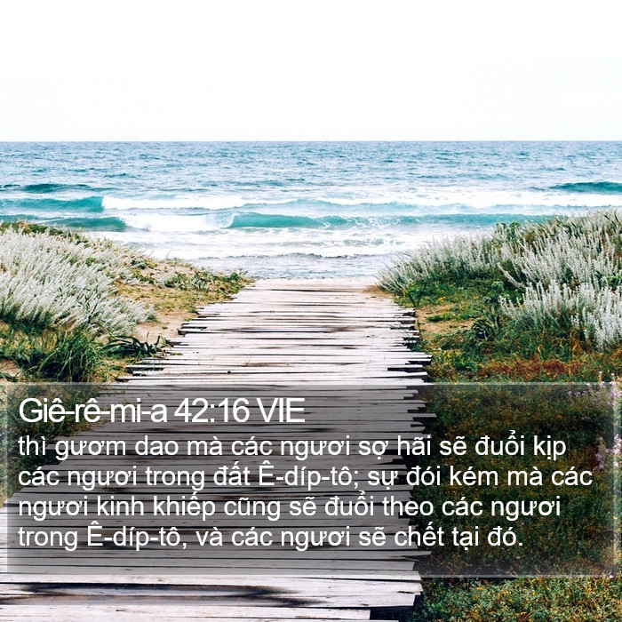 Giê-rê-mi-a 42:16 VIE Bible Study