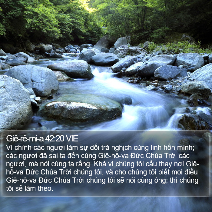 Giê-rê-mi-a 42:20 VIE Bible Study