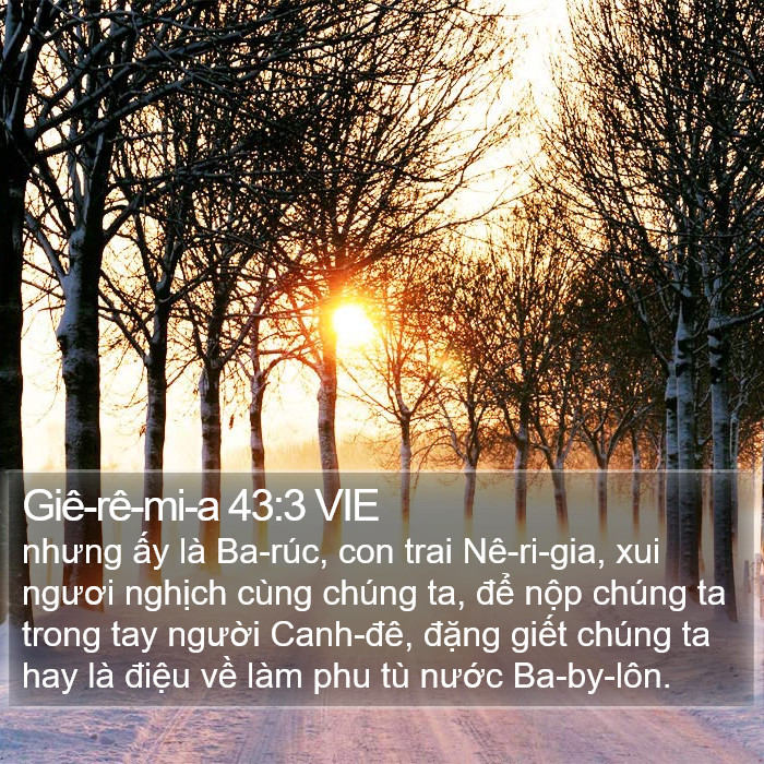 Giê-rê-mi-a 43:3 VIE Bible Study