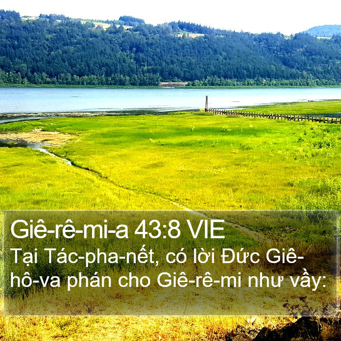 Giê-rê-mi-a 43:8 VIE Bible Study