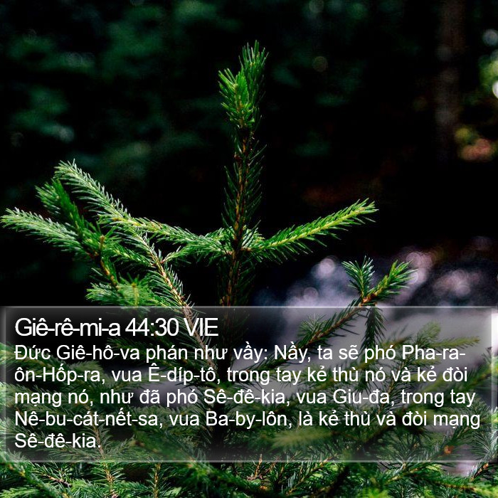 Giê-rê-mi-a 44:30 VIE Bible Study