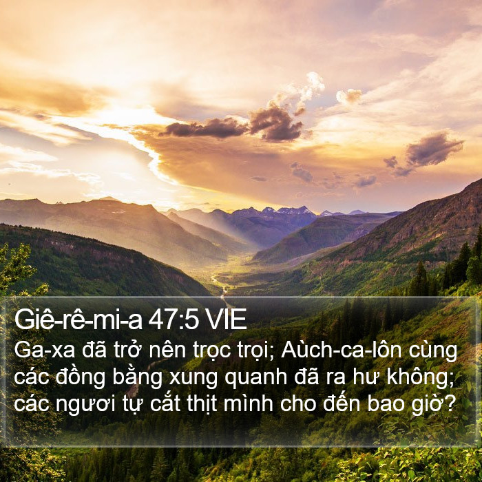 Giê-rê-mi-a 47:5 VIE Bible Study