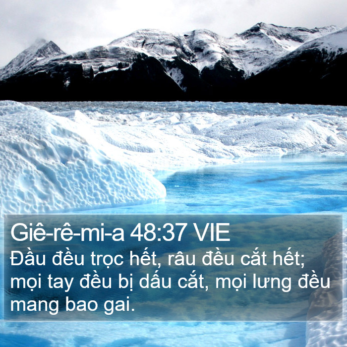 Giê-rê-mi-a 48:37 VIE Bible Study
