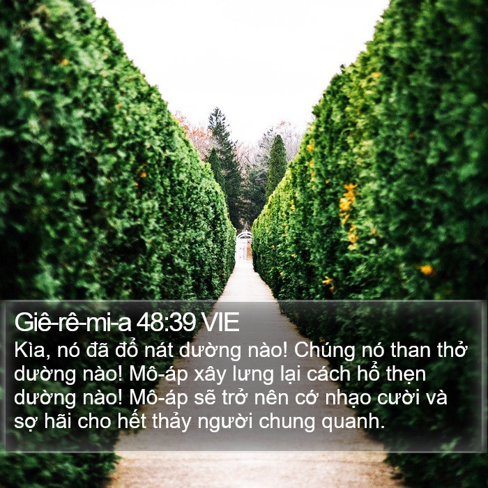 Giê-rê-mi-a 48:39 VIE Bible Study