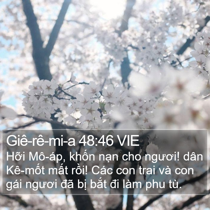 Giê-rê-mi-a 48:46 VIE Bible Study