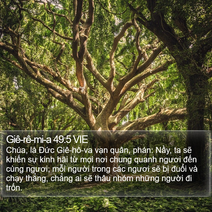 Giê-rê-mi-a 49:5 VIE Bible Study